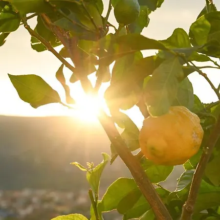 Hellosky Apartment Mostar